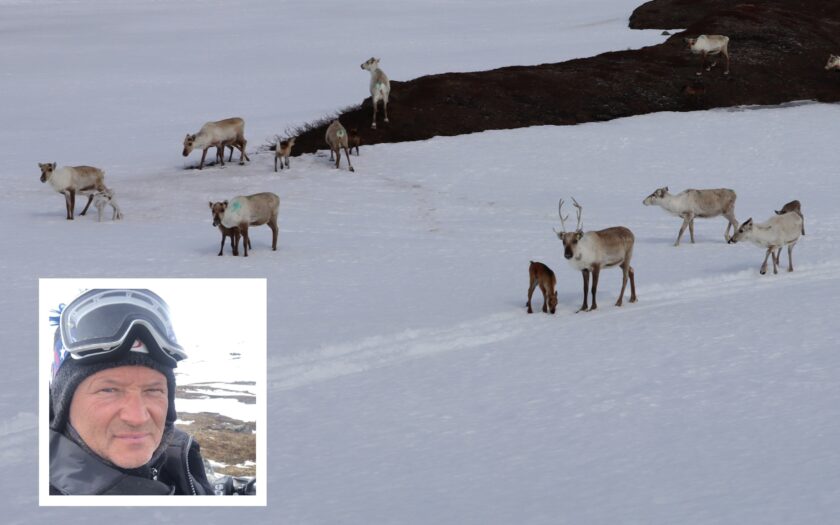 Reineier lettet over å slippe fengselsstraff etter ublidt møte med Statens naturoppsyn