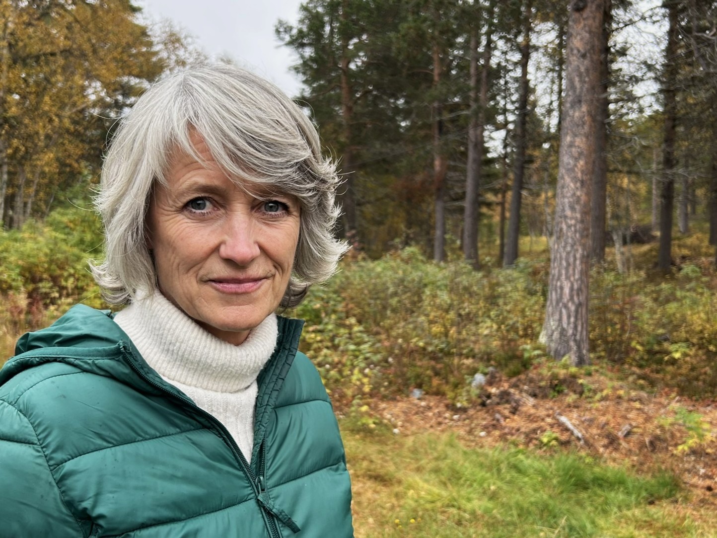 Rovviltnemnd truer med å legge ned verv hvis det ikke felles mer jerv