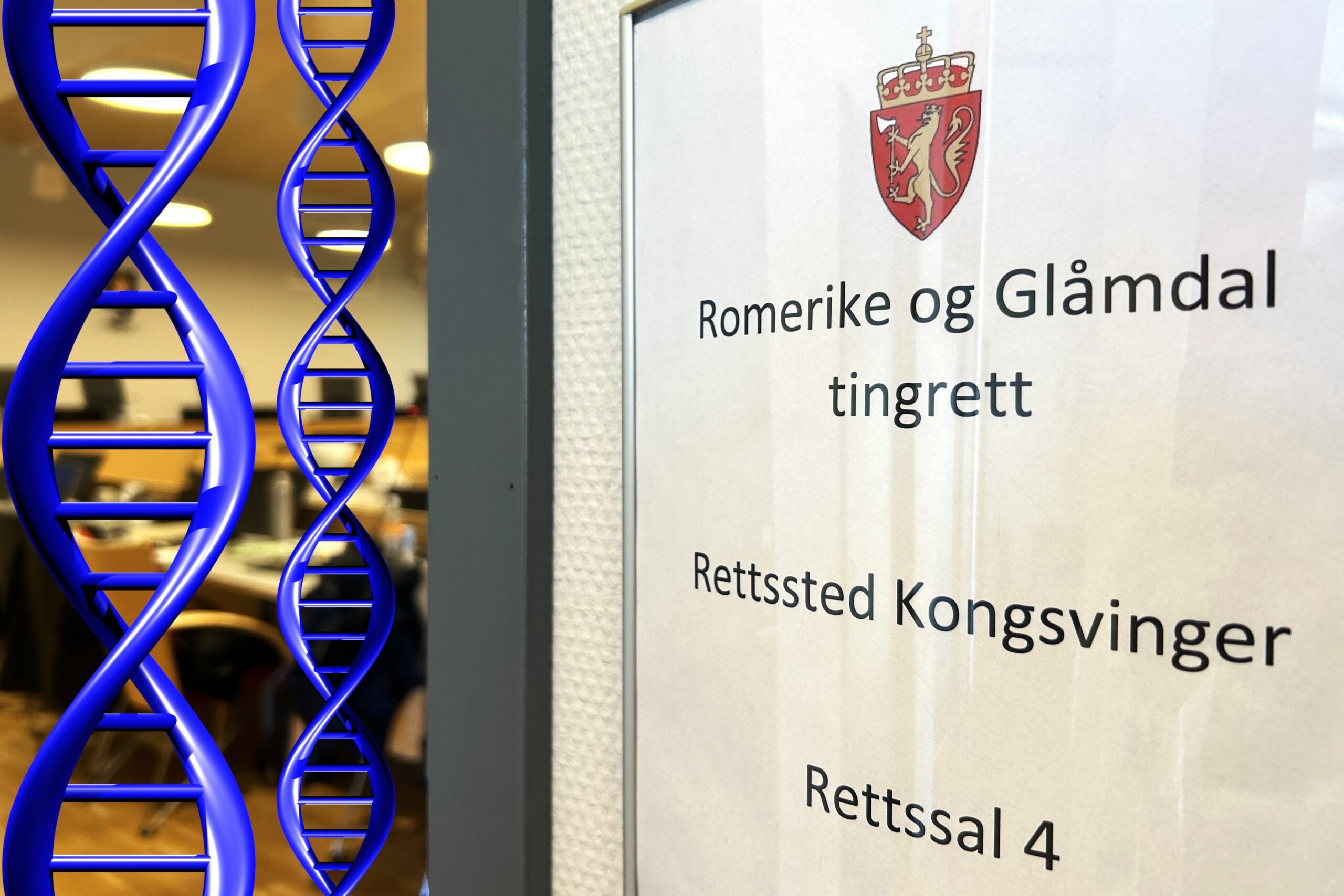 Eidskog-saken: Dyra er ulver uten innblanding fra hund, ifølge analyser