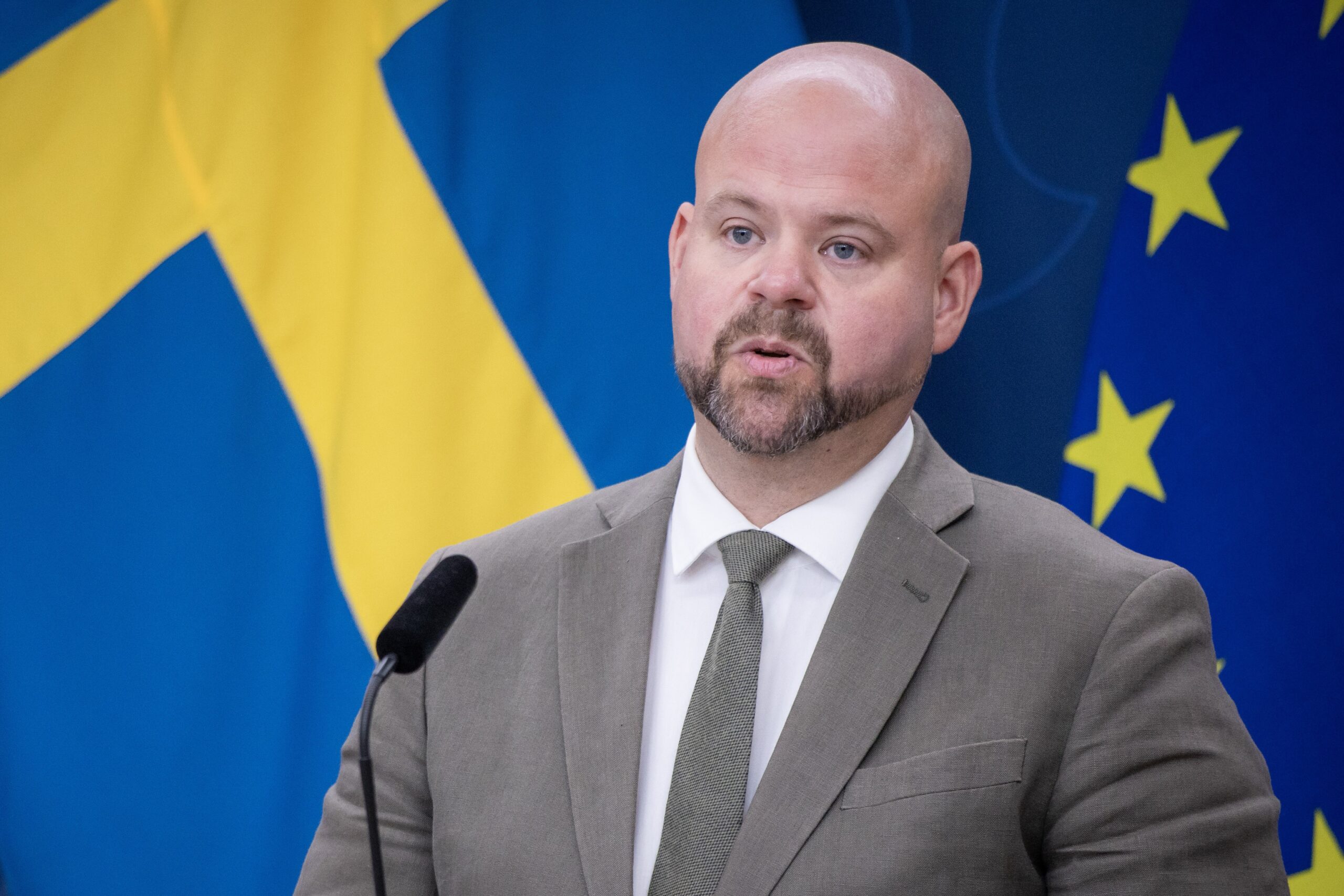 Sveriges regjering ønsker felles svensk-finsk-norsk ulveforvaltning